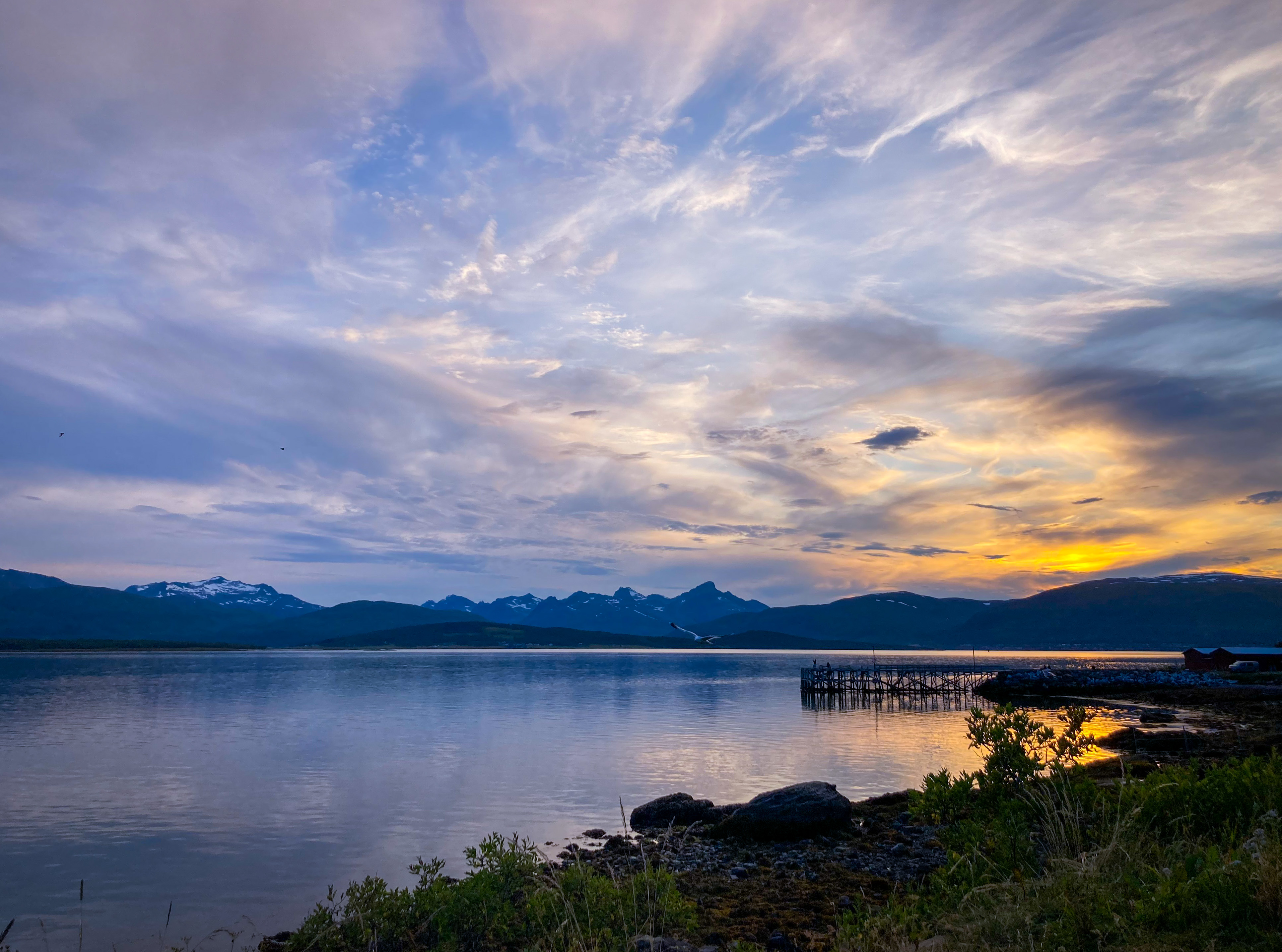 Norwegian summer shore